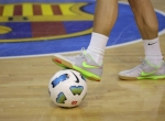 Training the specific technical capacities of the goalkeeper in futsal